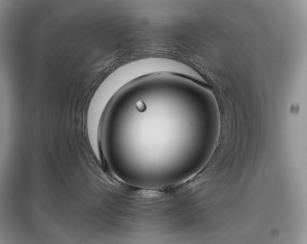 X0000097610528200803071452