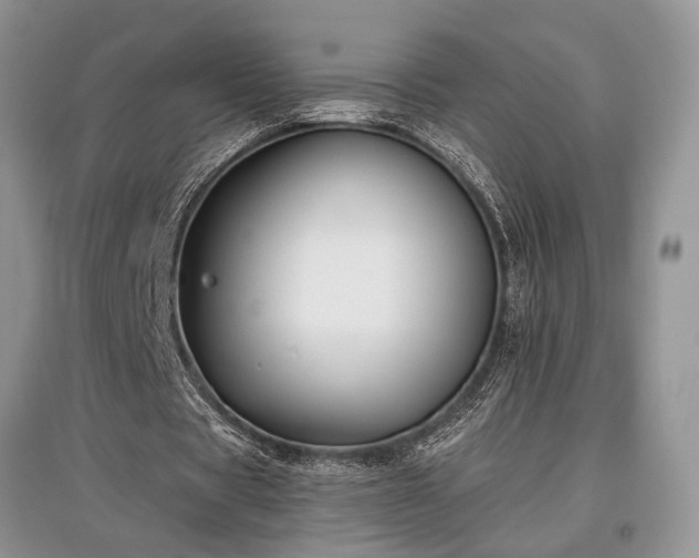 X0000097610529200803071451
