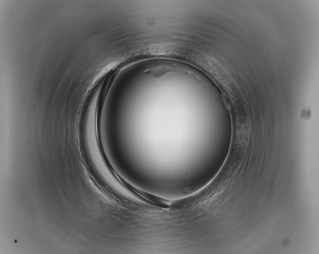X0000097610530200803071451