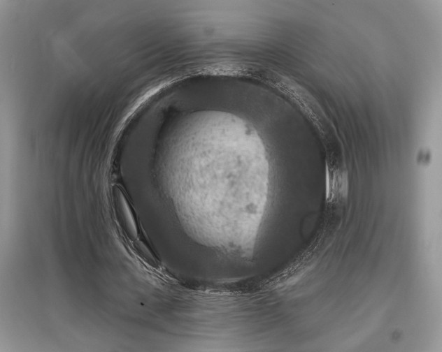 X0000097610531200803071451