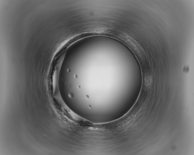 X0000097610532200803071451