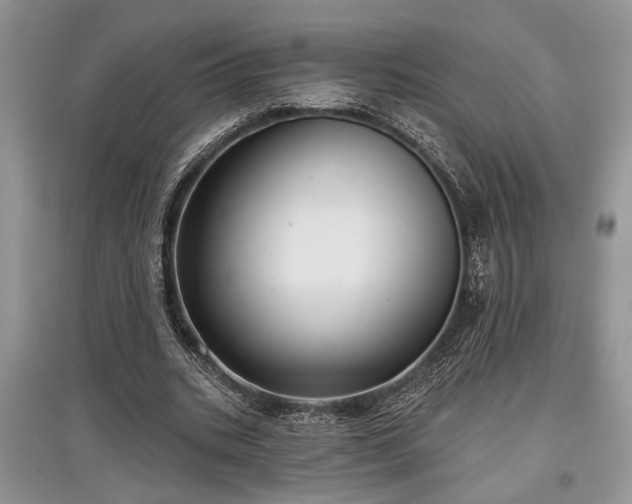 X0000097610535200803071451