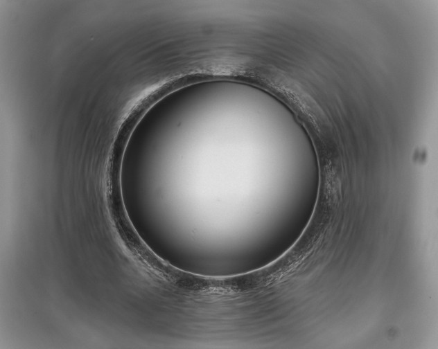 X0000097610536200803071451