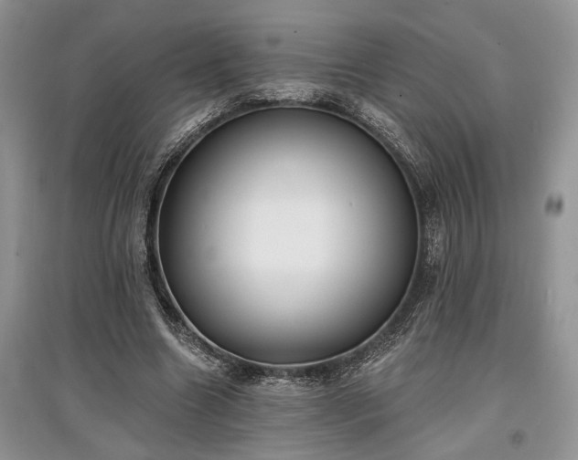 X0000097610538200803071451