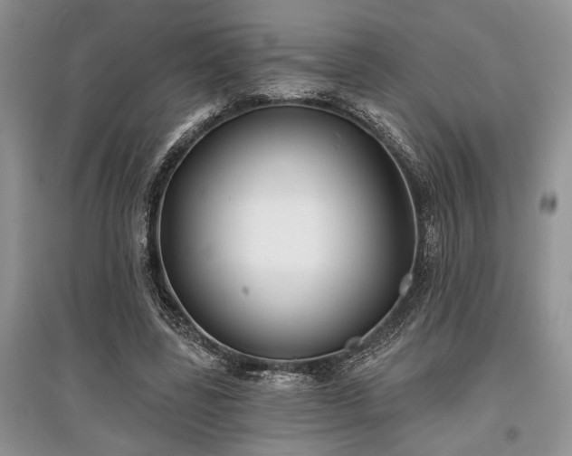 X0000097610539200803071451