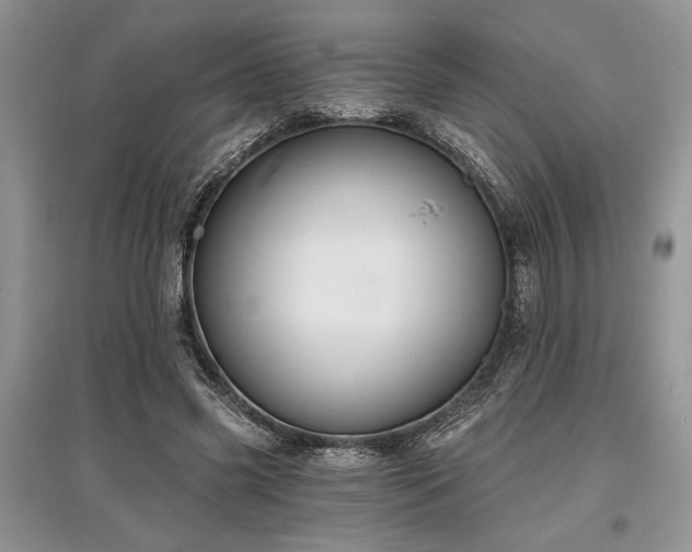 X0000097610541200803071451