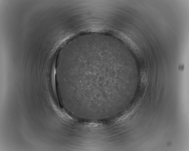 X0000097610542200803071451