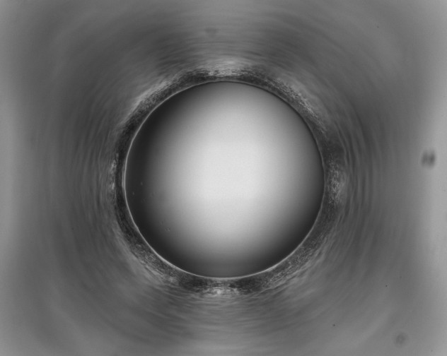 X0000097610543200803071451