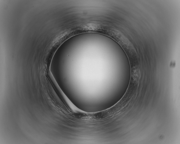 X0000097610544200803071451