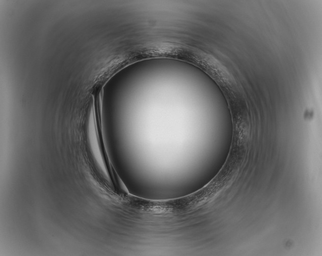 X0000097610546200803071451