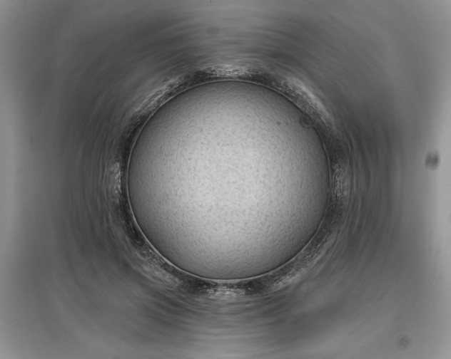 X0000097610549200803071451