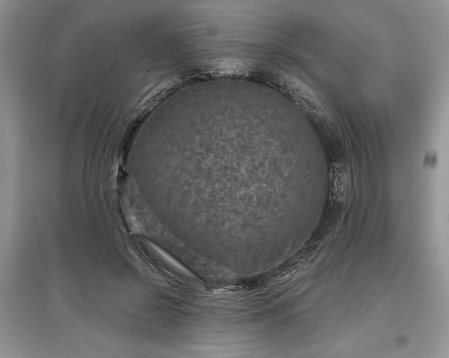 X0000097610550200803071451