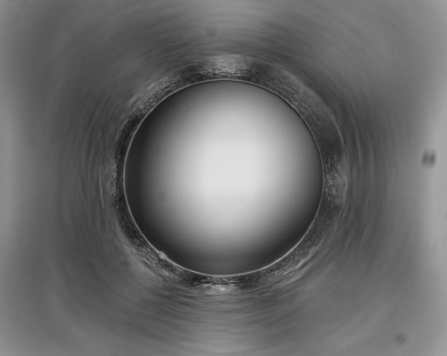 X0000097610552200803071451