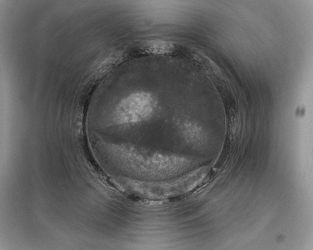 X0000097610553200803071451