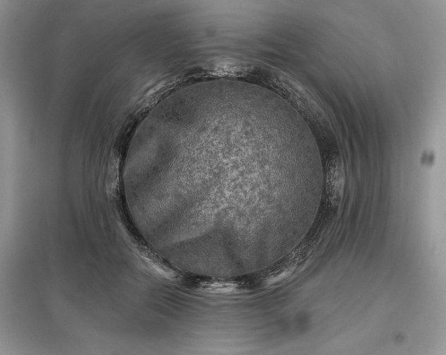 X0000097610554200803071451
