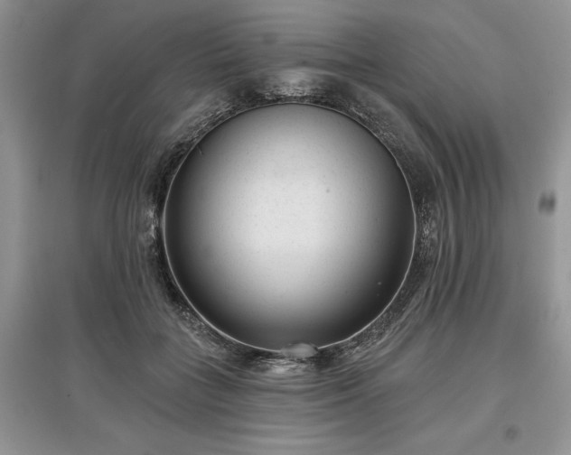 X0000097610555200803071451