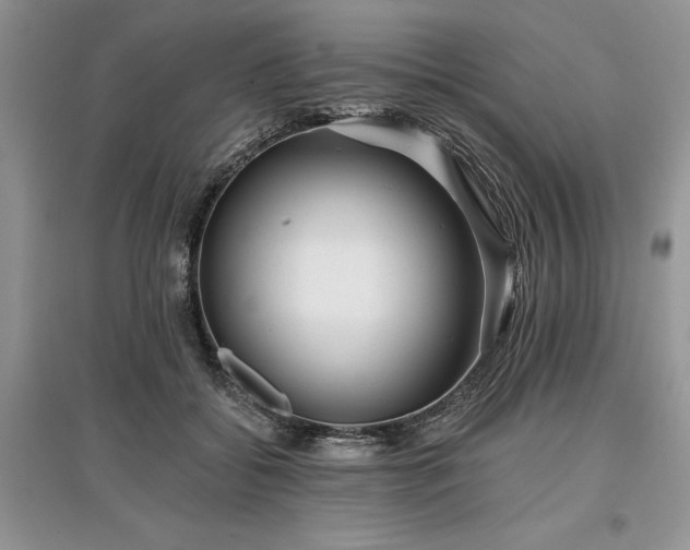 X0000097610556200803071452