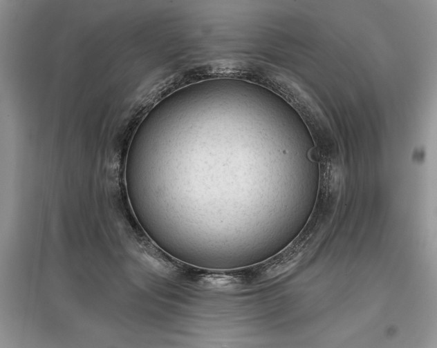 X0000097610557200803071452