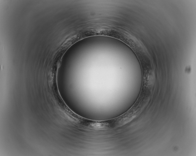 X0000097610558200803071452