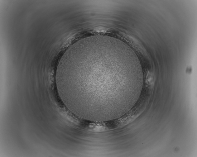 X0000097610559200803071452