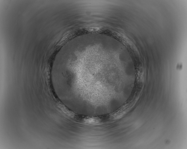 X0000097610561200803071452