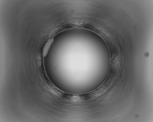 X0000097610562200803071452