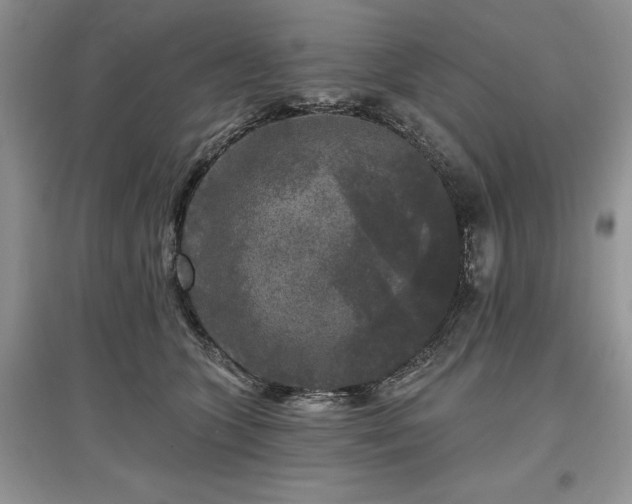 X0000097610563200803071452