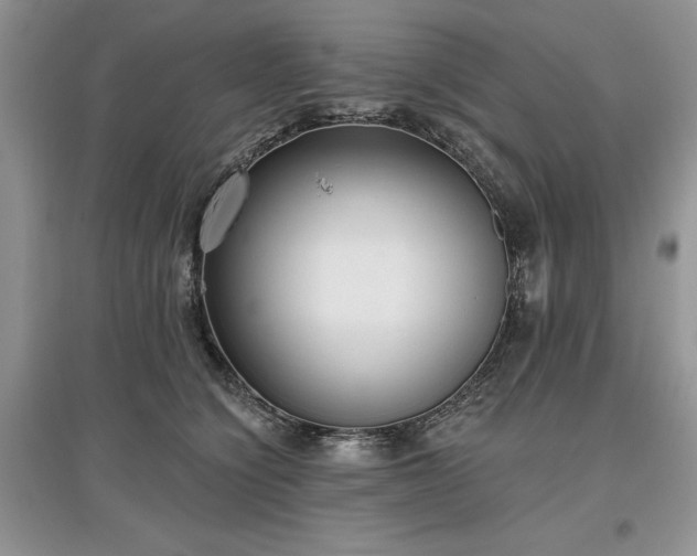 X0000097610564200803071452