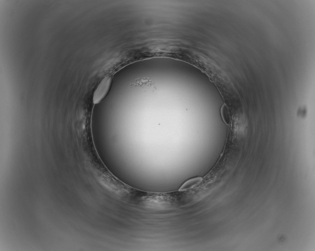 X0000097610567200803071452