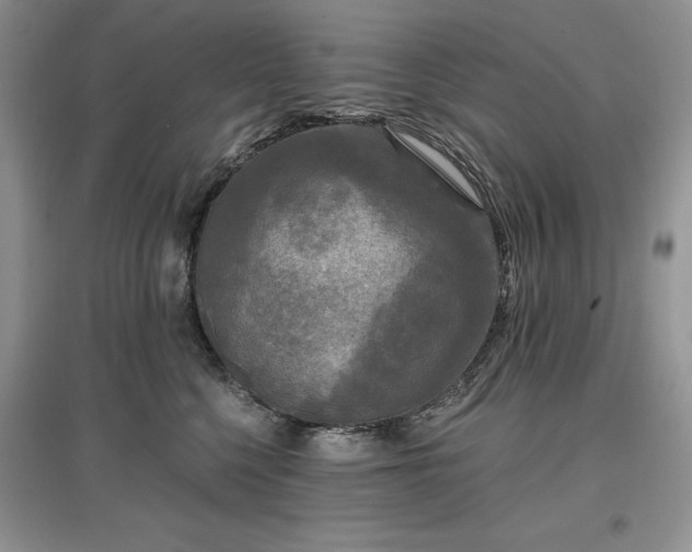 X0000097610568200803071452