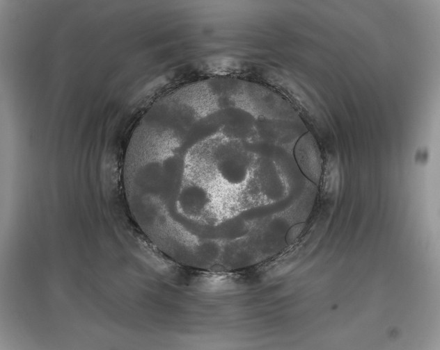 X0000097610569200803071452