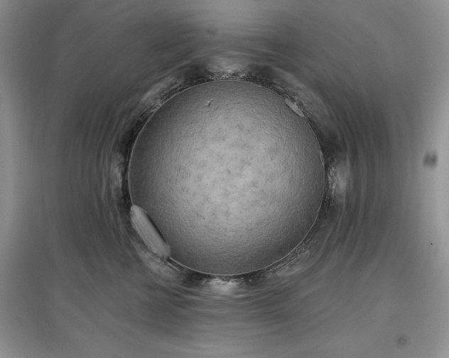 X0000097610570200803071452