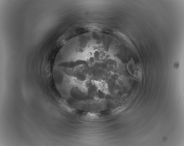 X0000097610573200803071452