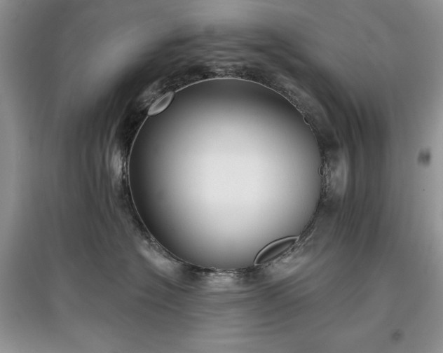 X0000097610574200803071452