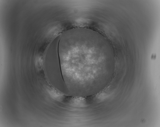 X0000097610576200803071452