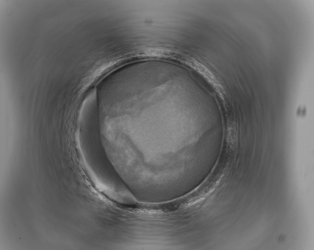 X0000097610577200803071451