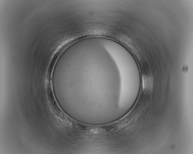 X0000097610579200803071451