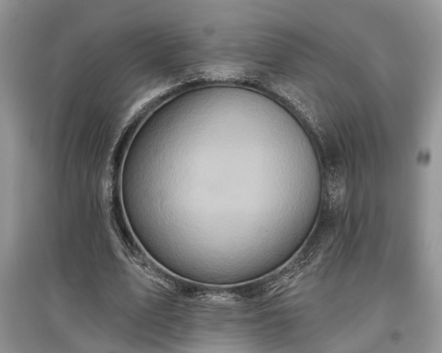 X0000097610583200803071451