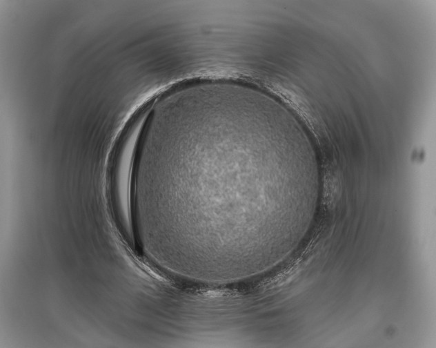 X0000097610584200803071451