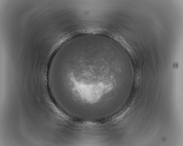 X0000097610585200803071451