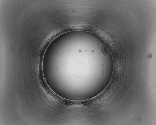 X0000097610586200803071451