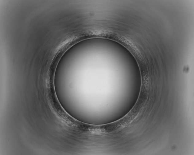X0000097610587200803071451