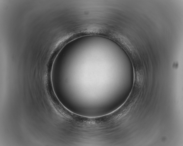 X0000097610588200803071451