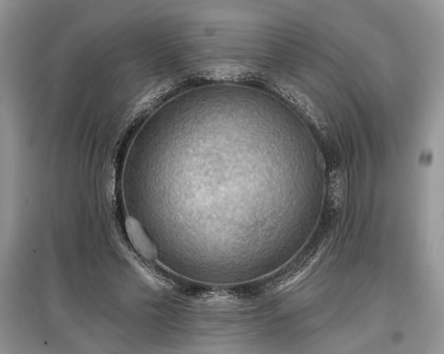 X0000097610589200803071451