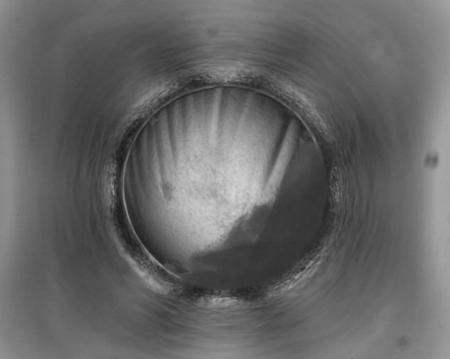 X0000097610590200803071451