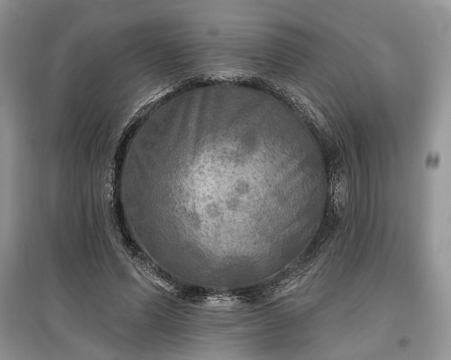 X0000097610591200803071451