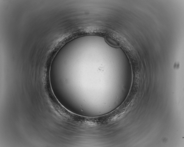 X0000097610592200803071451