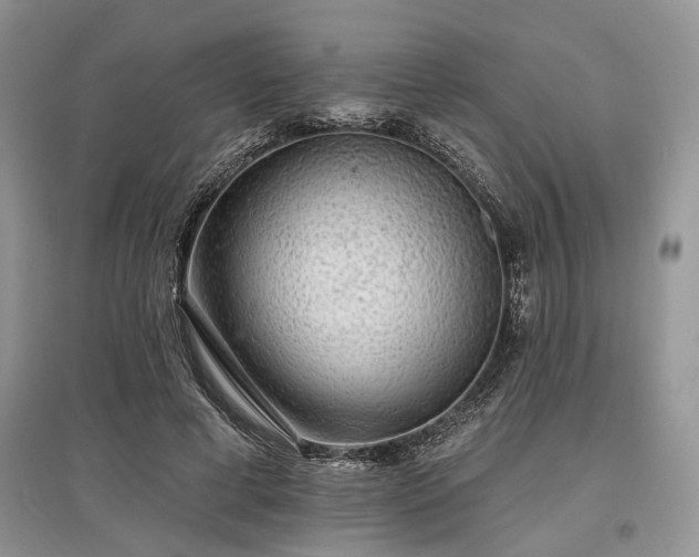 X0000097610593200803071451
