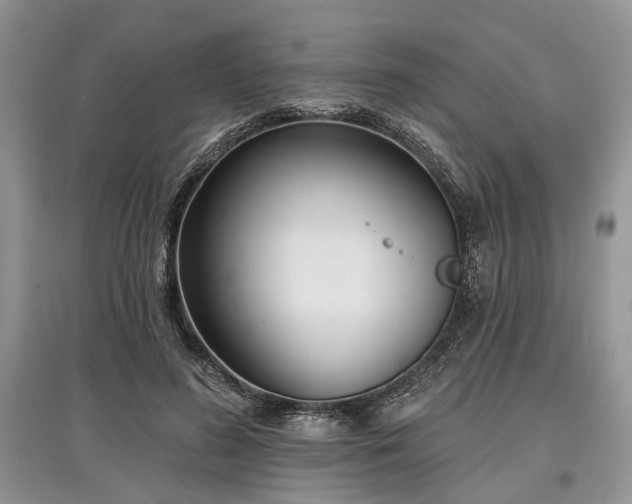 X0000097610596200803071451