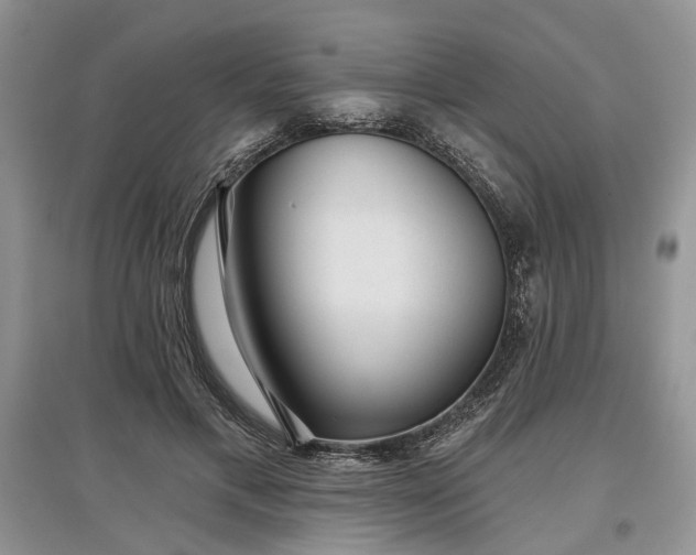 X0000097610597200803071451